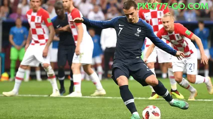 carvalhopg no Brasil: Análise Completa e Recomendações - go